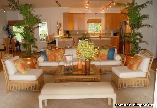combined kitchen and living room